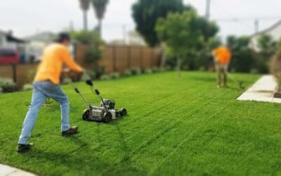 Summer Lawn Maintenance Tips