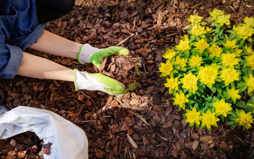 The Importance of Early Spring Mulching