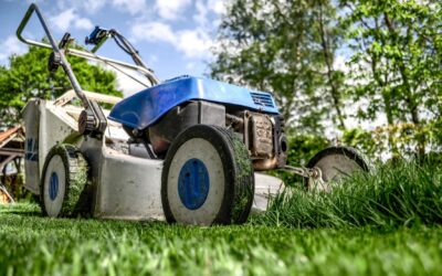 Factors to Consider When Choosing a Lawn Mower