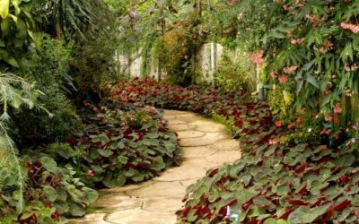 A Step-By-Step Guide to Building a Beautiful Garden Path