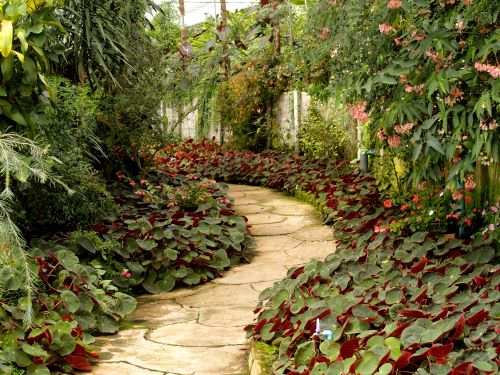 A Step-By-Step Guide to Building a Beautiful Garden Path