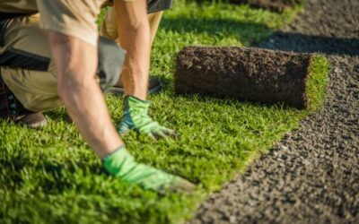 The Benefits of Hiring a Garden and Landscaping Service