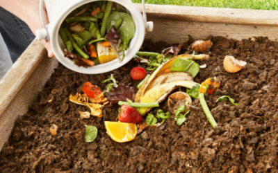 Composting in November: How to Recycle Fall Yard Waste