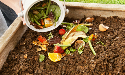 Composting in November: How to Recycle Fall Yard Waste