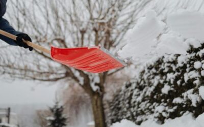 How to Prevent Winter Damage to Your Lawn and Garden