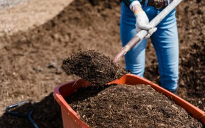 The Importance of Winter Mulching for Plant Health